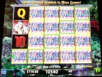 Dangerous Beauty Video Slot