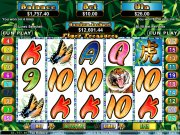 Tiger Treasures Video Slot