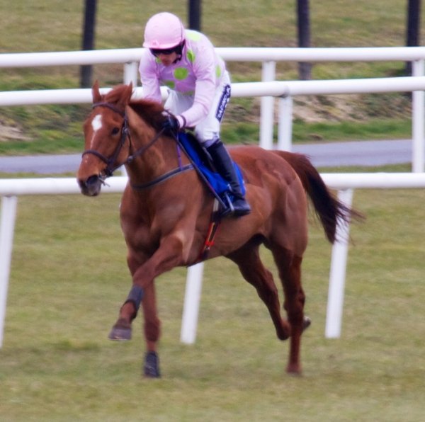 Annie Power